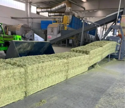 Luzerne  - Lot de 10 Tonnes (10 000 kg)